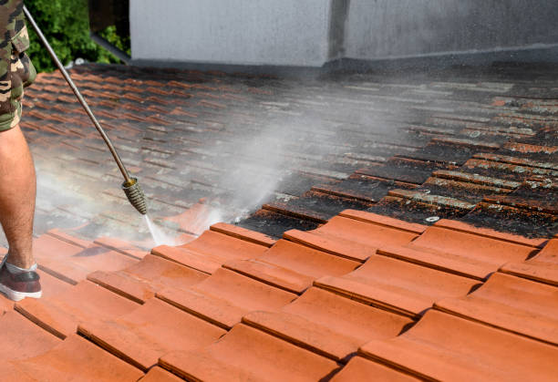 Best Roof Power Washing Services  in Dunwoody, GA